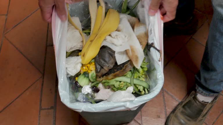 Best Residential Junk Removal  in Wendell, NC